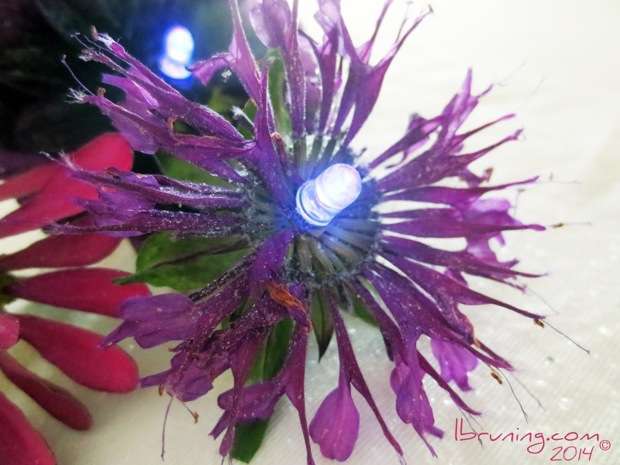 Dried Flowers with LEDs for Bouquets and Center Pieces