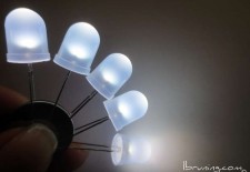 10 mm White LED