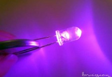 One Violet 5mm LED