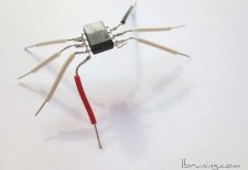 Electronic Bugs